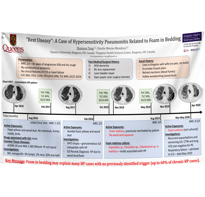 Cheapest Queen's University Fabric Research Poster $70 (36x48) Kingston Ontario