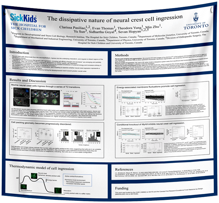 Cheapest SickKids Hospital Fabric Research Poster $70 (36x48) (Toronto Ontario)